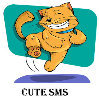 Cute SMS in hindi for girlfriend, him