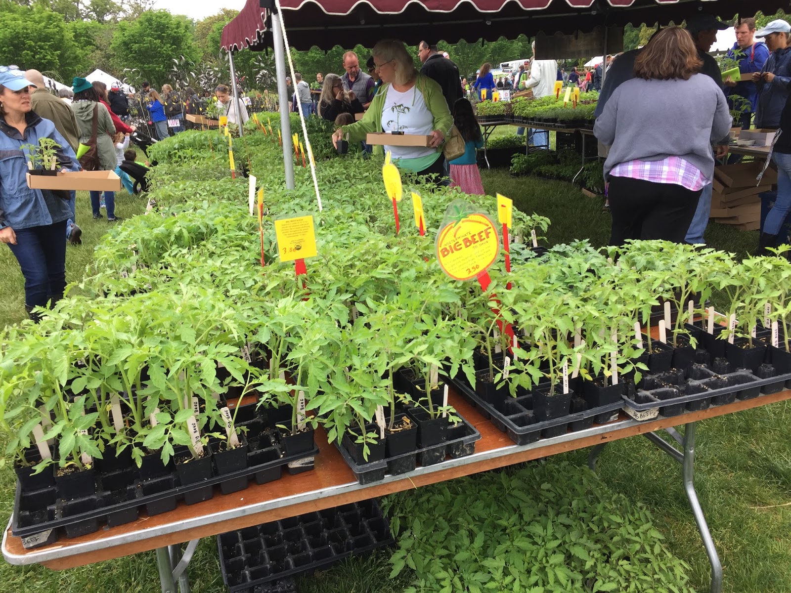 Bonz Blogz Maymont Herbs Galore and More