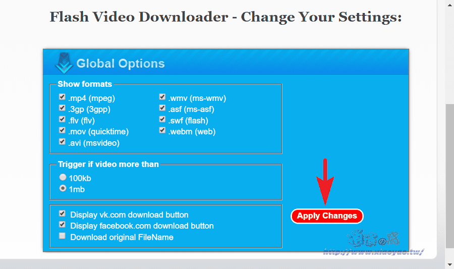 Flash Video Downloader 擴充功能