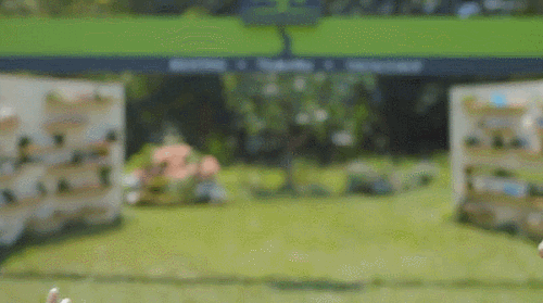 트와이스 네이처 컬렉션 움짤 & CF | 인스티즈