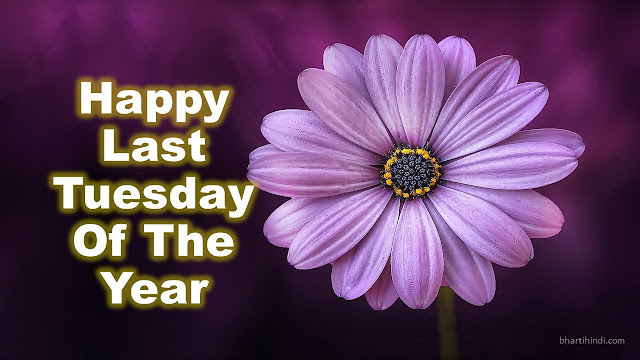 Last Tuesday Of The Year Happy Last Tuesday Of The Year 2018 Image