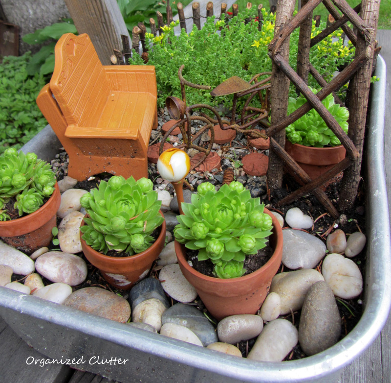Junk Garden Fun with Sempervivums (Hen and Chicks) - Organized Clutter
