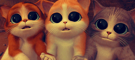 IMAGENES ANIMADAS: imagenes animadas de gatitos lindos