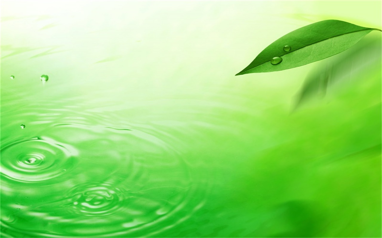 green leaves and dewdrops PPT backgrounds green leaves and dewdrops PPT backgrounds