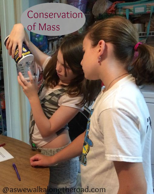 Science ideas for homeschoolers Science ideas for homeschoolers
