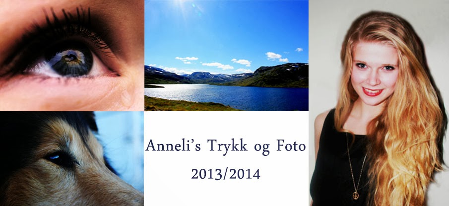Anneli's trykk og foto