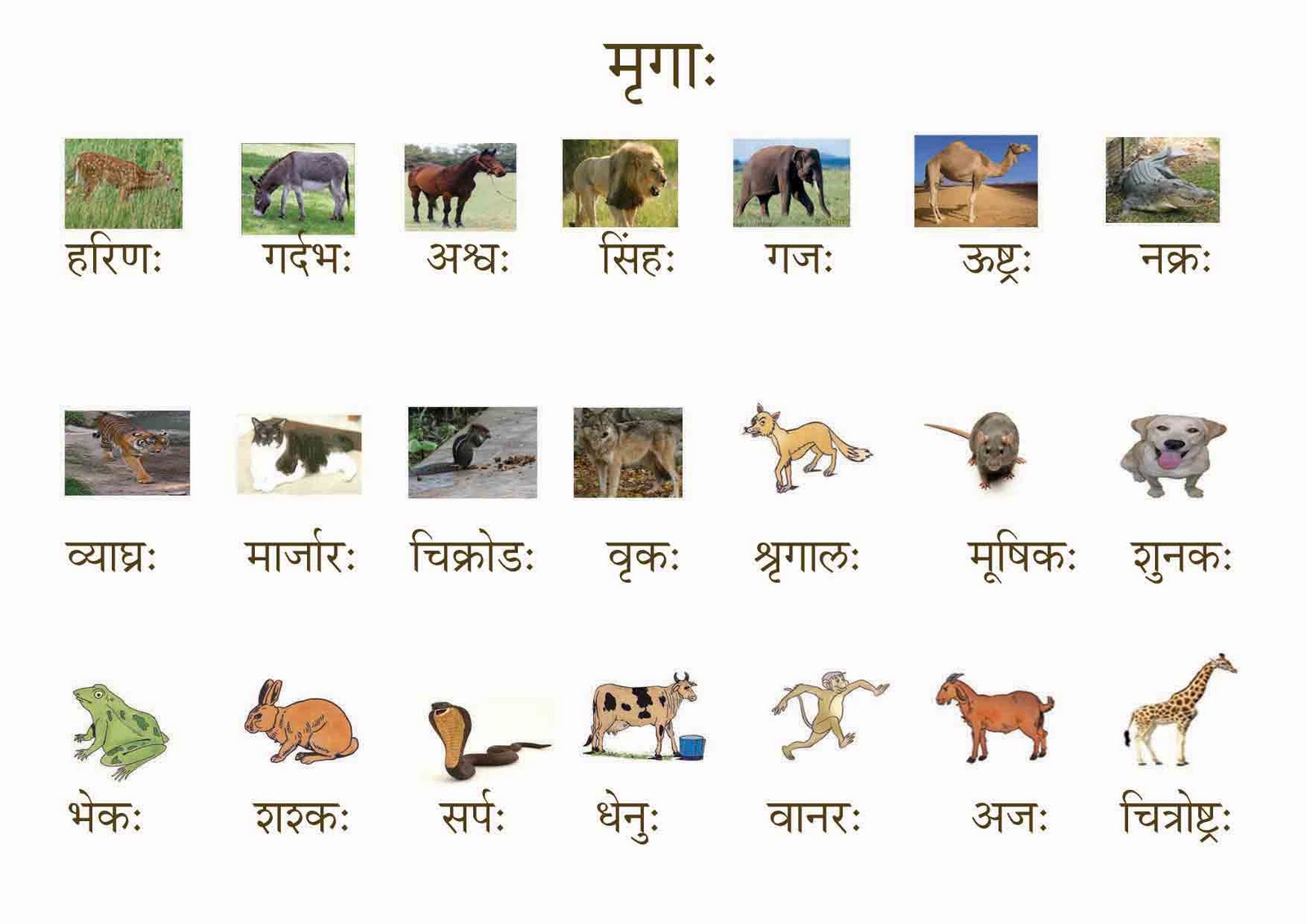 Padatu Samskritam: Animals- Mrugaa: