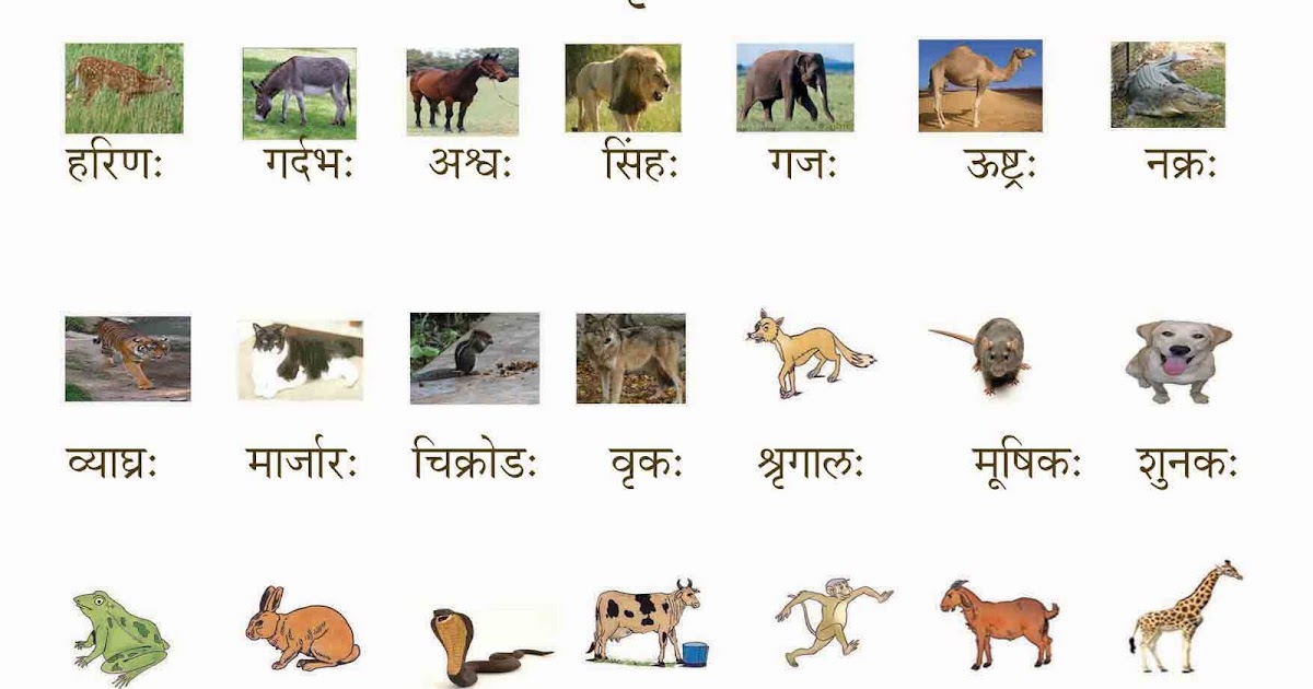 Padatu Samskritam: Animals- Mrugaa: