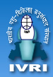 Government Jobs in UP IVRI Recruitment Assistant Finance and Account Officer :Last Date :31st of August 2013