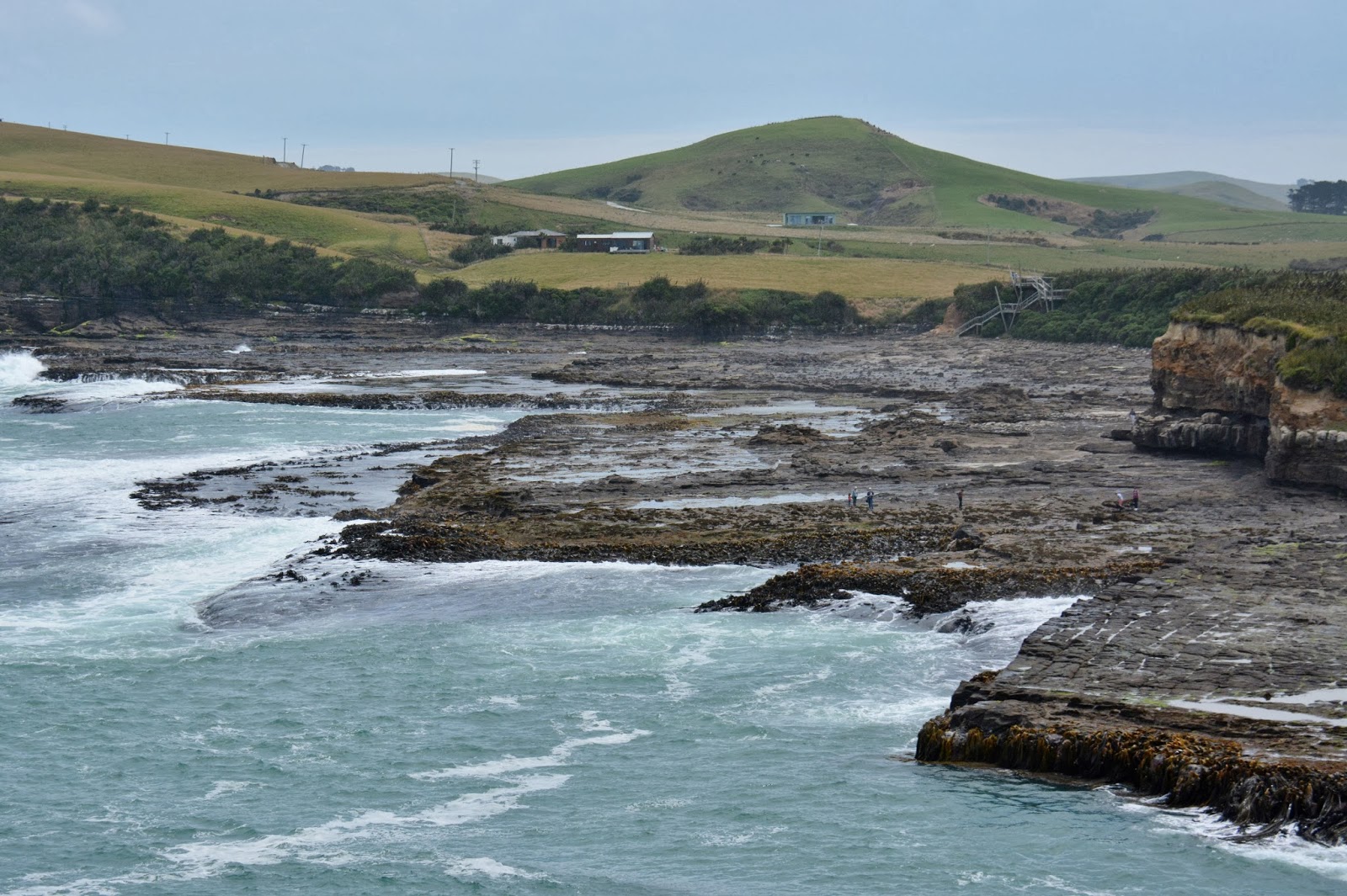 Two Go Tiki Touring Waikawa, Curio Bay & the Petrified Forest, Catlins