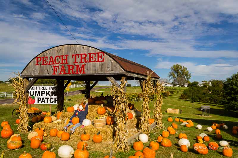 Our Eyes Upon Missouri Peach Tree Farms Pumpkin Patch, Boonville, MO