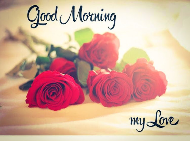 Good Morning love images good morning my love,good morning video,good morning song,good morning images,good morning photos,good morning gif,good morning,good morning wishes images,good morning love,good morning love quotes,good morning wishes,good morning quotes,good morning images with nature,good morning wallpaper,good morning whatsapp status video,good morning love images,good morning love images for girlfriend