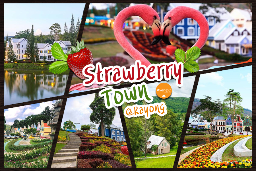 Strawberry Town @Rayong