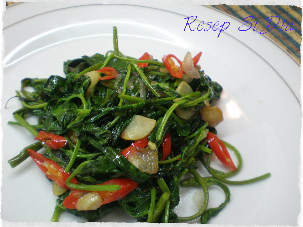 Resep Bagaimana Cara Masak Sayur Kangkung Yang Enak Resep Bagaimana Cara Masak Sayur Kangkung Yang Enak