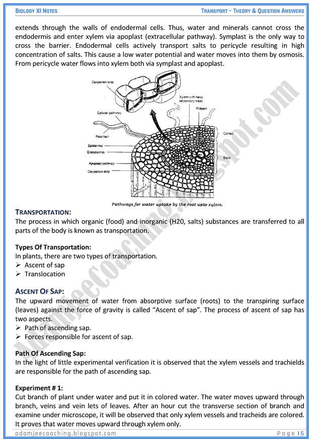 transportation-descriptive-question-answers-biology-11th