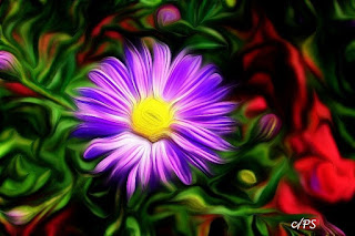 Blumen, flores, Flower, fleurs, květiny, Flores, blomme Fauna, Flora, Tiere, Vögel, Fische, Insekten, Blumen, Bäume, Berge, Meer, Ozean, Natur, Sonne, Mond, animals, birds, fish, insects, flowers, trees, mountains,