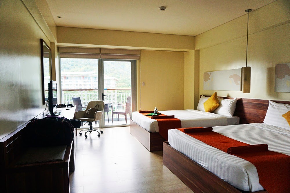 pico de loro hamilo coast airbnb