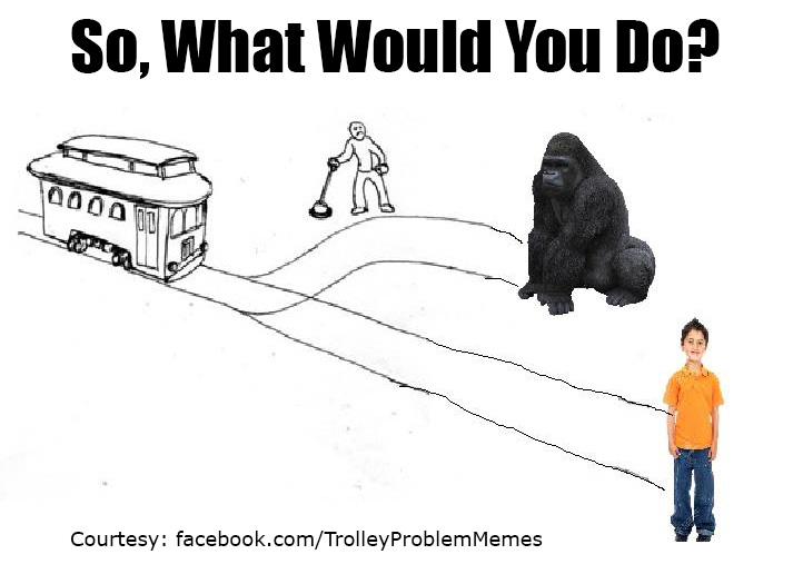 gorilla-trolley_meme.jpg