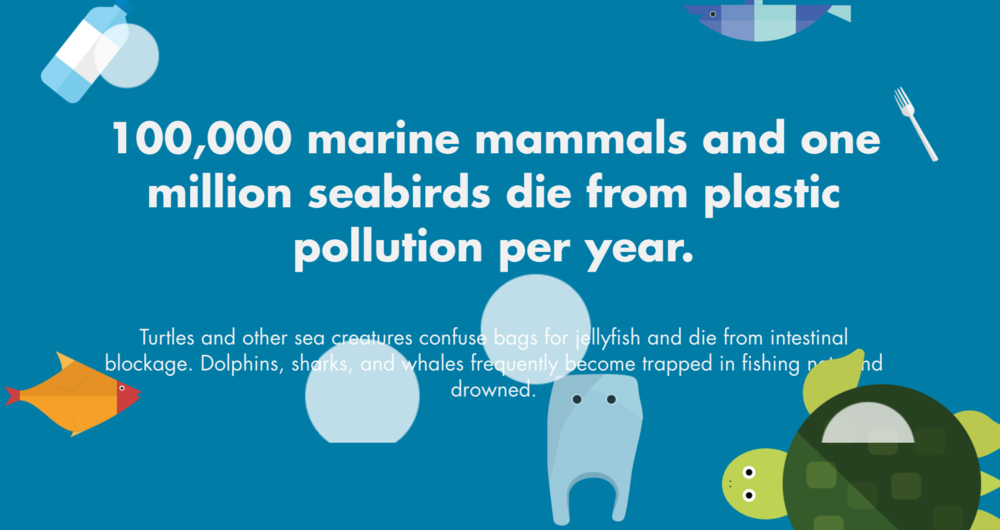 Facts About Plastic Bags Kill Animals IUCN Water