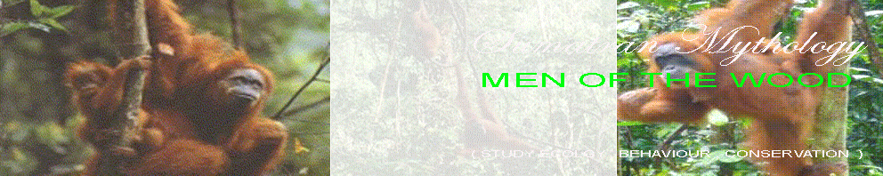 SUMATRAN MITHOLOGY ( MEN OF THE WOOD )