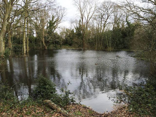 Pond on Hayes Common, 9 February 2014. Pond on Hayes Common, 9 February 2014.