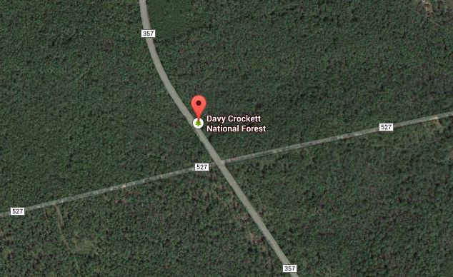 Davy Crockett National Forest