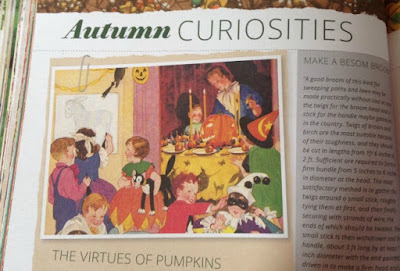 Interesting article about Autumn Curiosities from Pretty Nostalgic Year Book