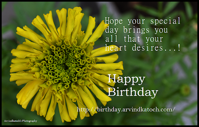 Happy Birthday, Card, HD Birdthay Card, Heart, desiers, special day