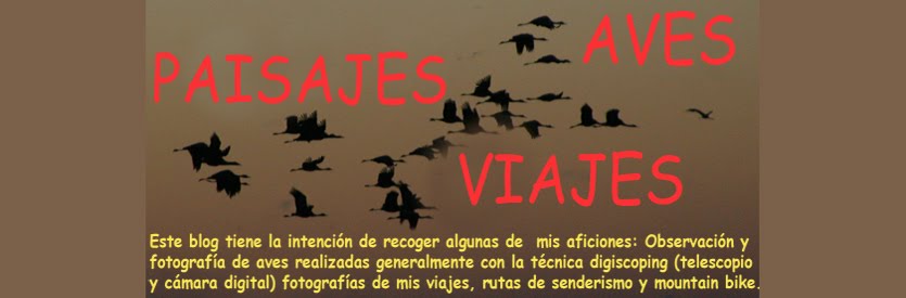 AVES PAISAJES Y VIAJES