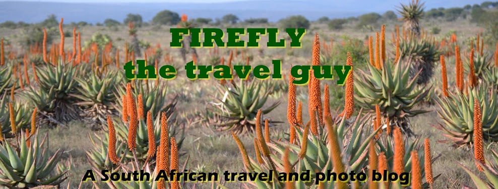 Firefly The Travel Guy