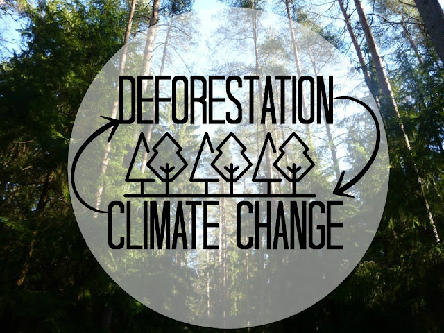 deforestation climate change deforestation climate change