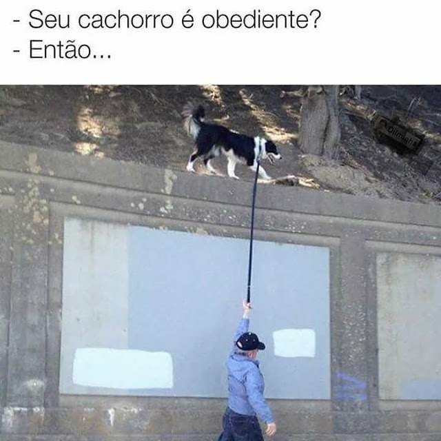 Memes engraçados Memes engraçados