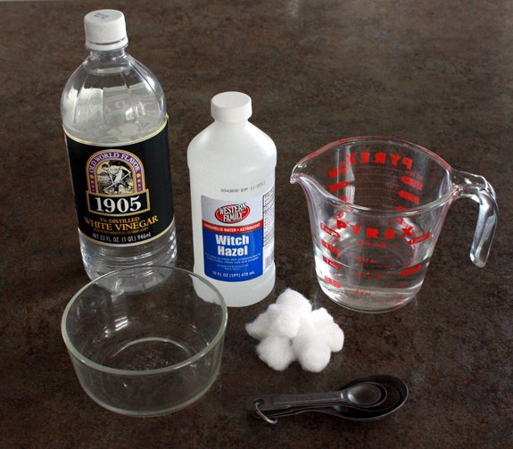 Homemade Beauty and Spa Recipes Made Simple Organic Facial Toner