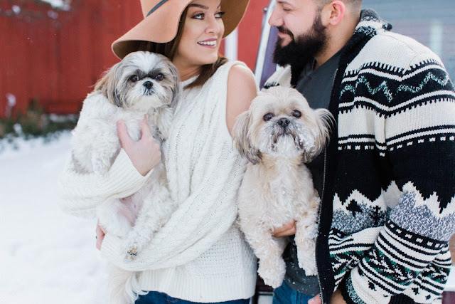 Um terço das mulheres casadas conversa mais com o shih tzu do que com os maridos