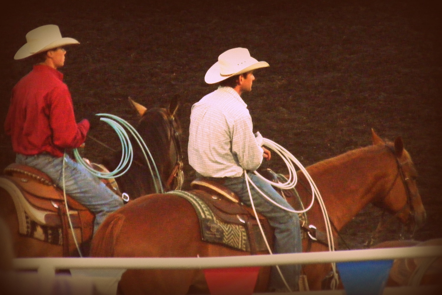 Melissa Lynn D Art: Rodeo!