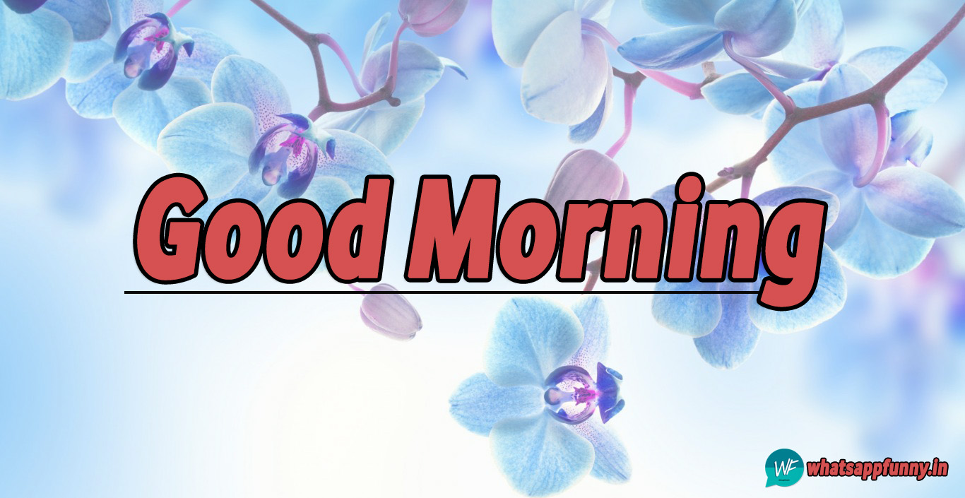 beautiful good morning images good morning images