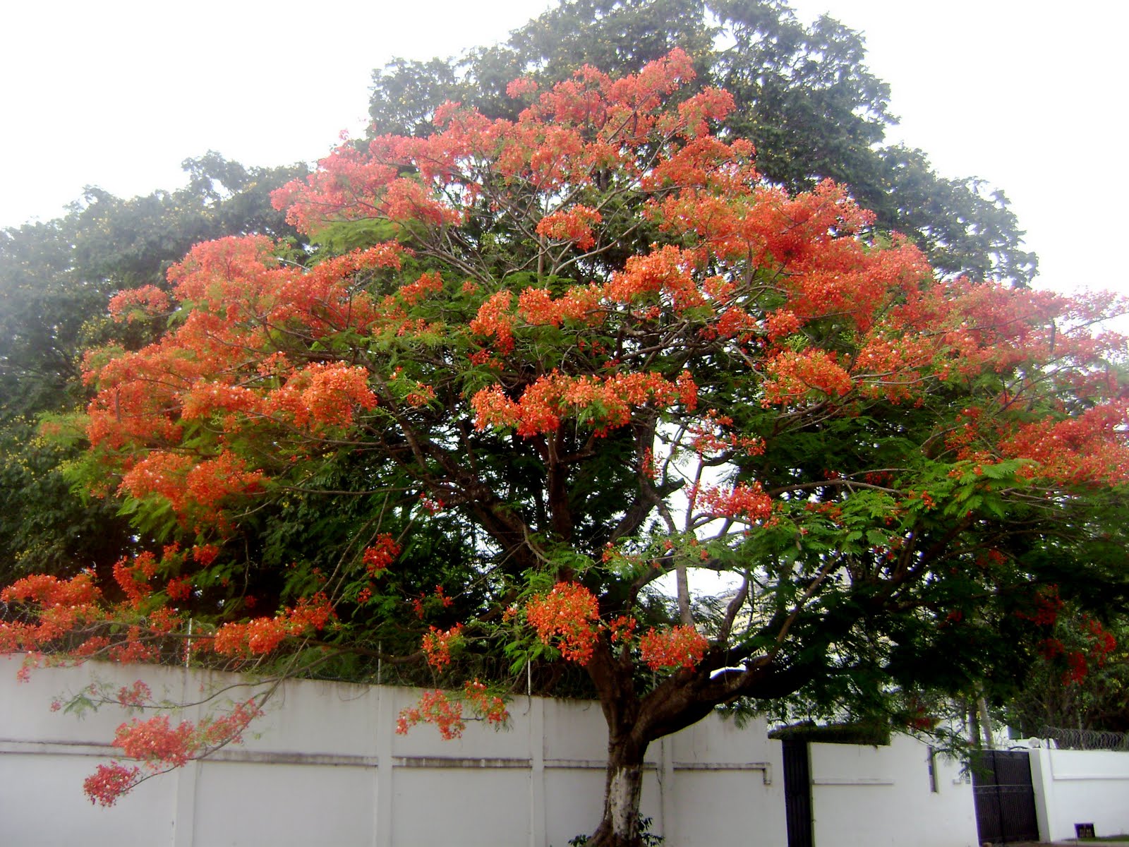 Church in Ghana The Sometimes Amazing Life of Kimberly