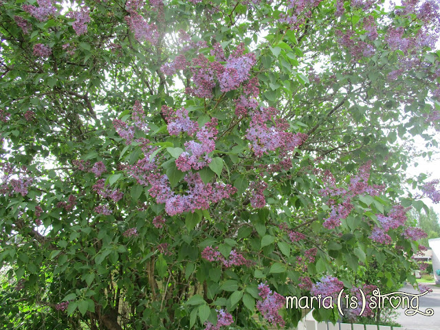 Lempeästi stressistä eroon