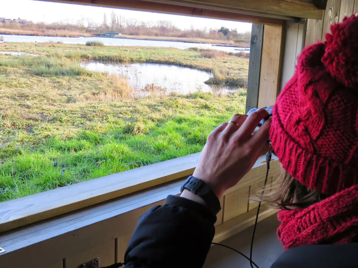 Birdwatching from a hide at the Wildfowl and Wetlands Trust London Sanctuary