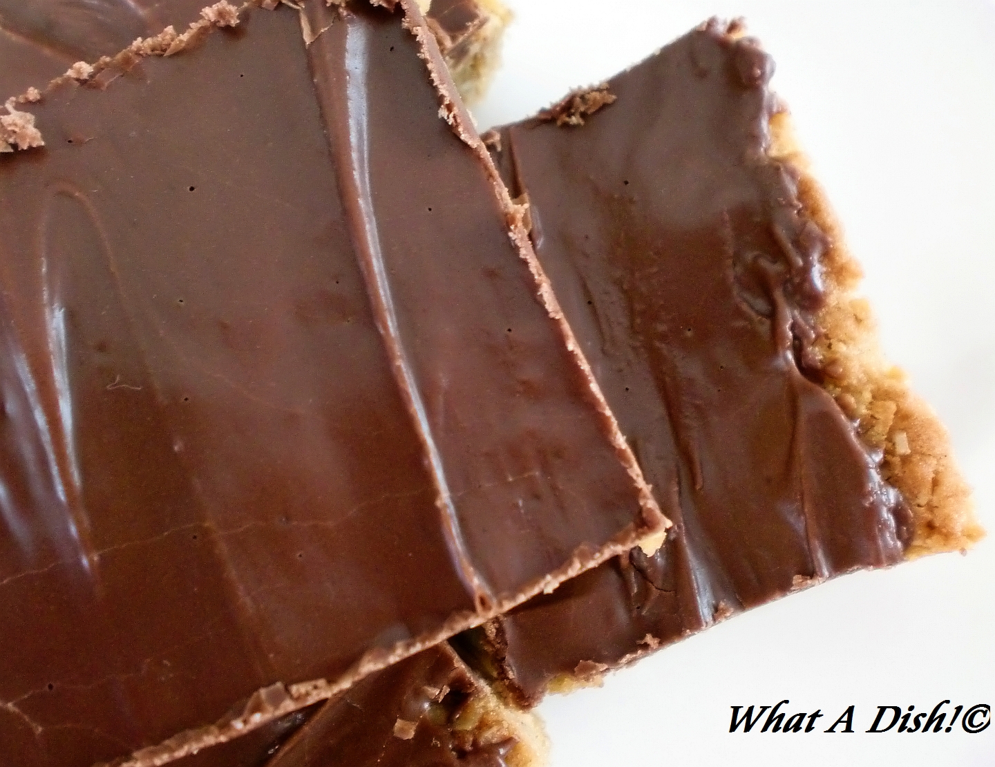 What A Dish! ChocolateFrosted Peanut Butter Bars