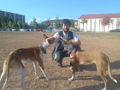 Soy Germán, Educador Canino Autorizado CV-ACC-236 y colaborador de protectoras de animales