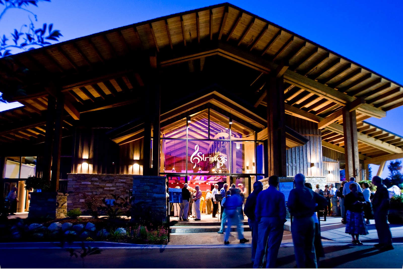 Strings Music Festival Blog