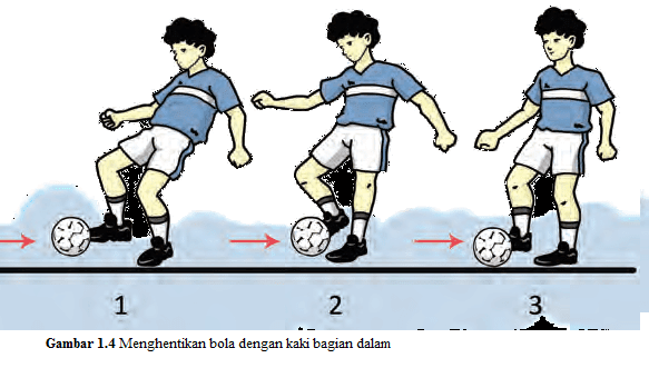 Contoh essay bahasa inggris tentang musik image