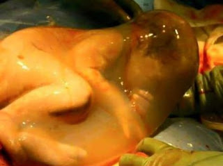 Tawakkal seorang bayi Tawakkal seorang bayi