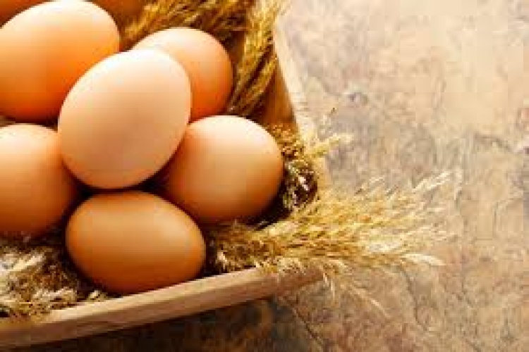 Mengenal Kemeriahan Perayaan Hari Telur Sedunia Mengenal Kemeriahan Perayaan Hari Telur Sedunia