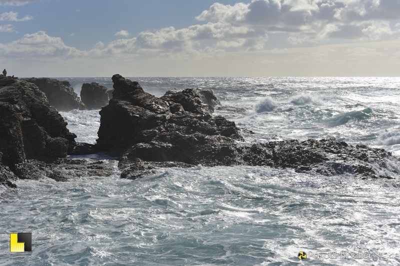 les rocher de la cote de l'ile de Gaou photo pascal blachier