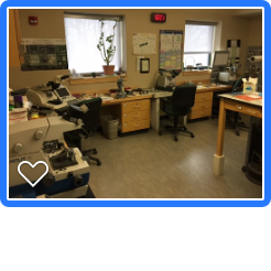 Temlab Ultrastructural Explorations at SUNY-ESF