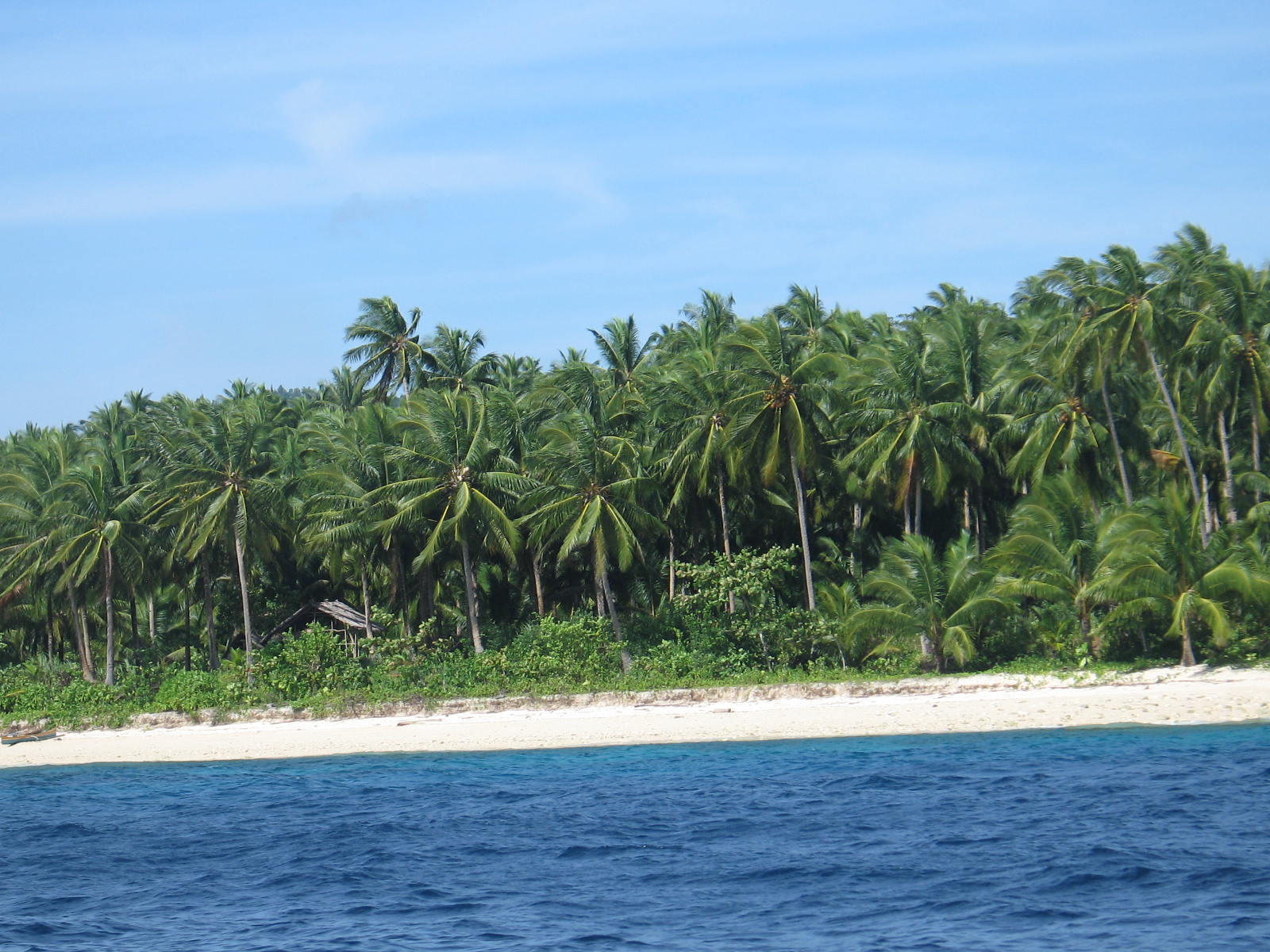 Home Sweet Home Libjo,Dinagat Island Photos