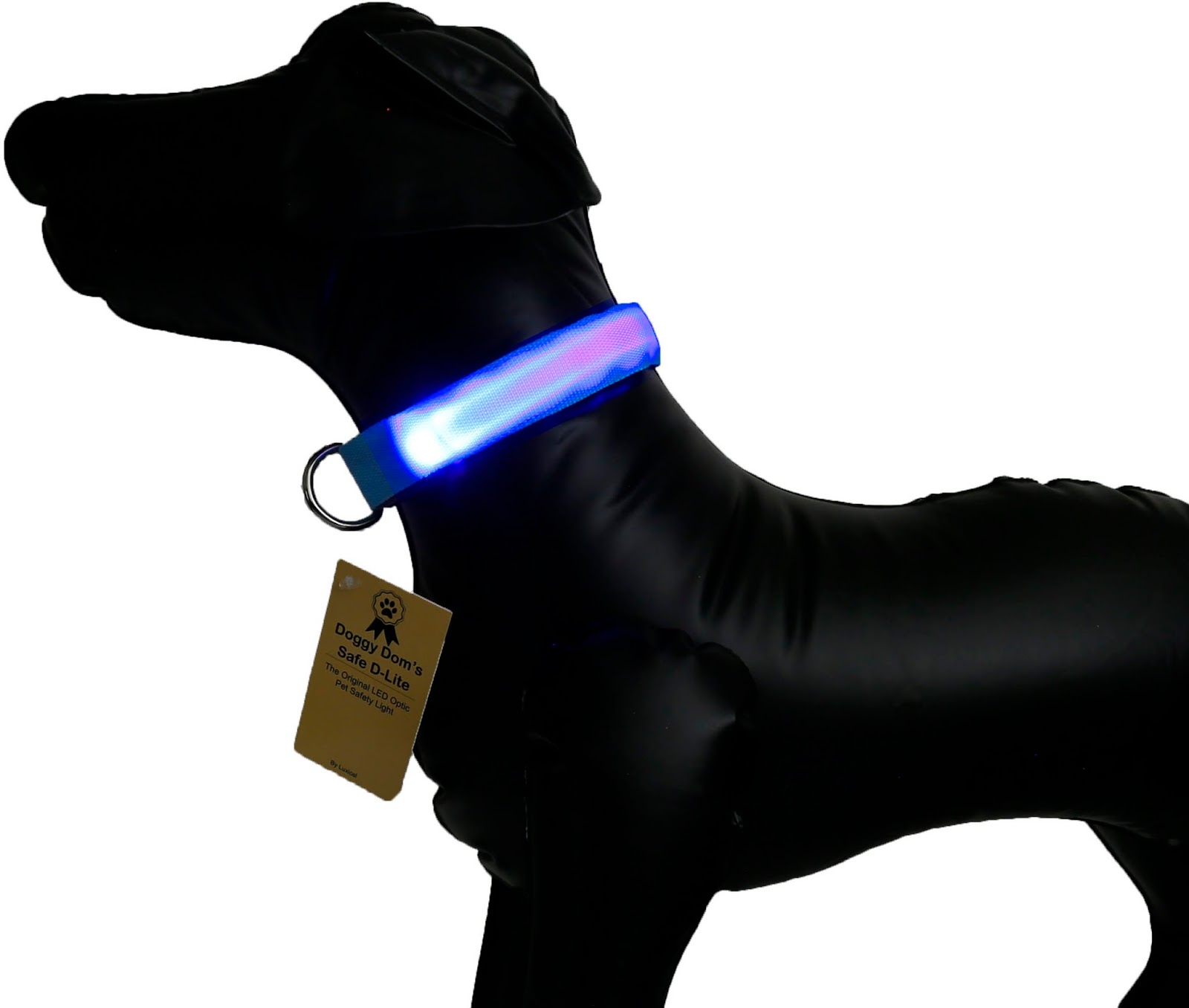 The Aries Man Chronicles Doggy Dom's Safe DLite lighted dog collar 