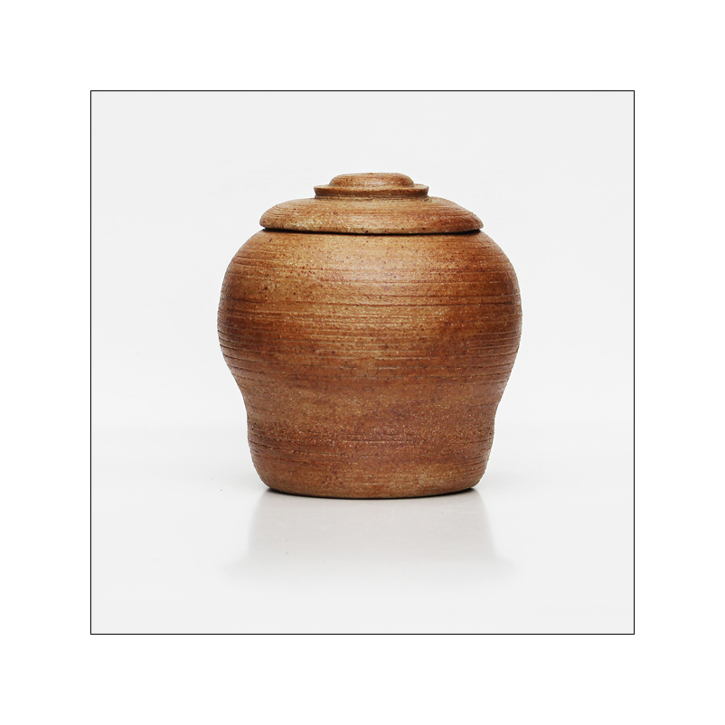 The Ridou Report Taking Stock My Study Year at Brookvale TAFE